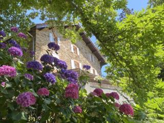 la-maison--le-rocadel-hortensias.jpg