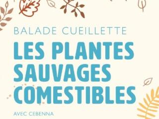 plantes-sauvages-.jpg