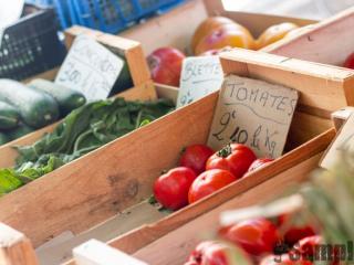 MARCHÉ DE PLEIN VENT