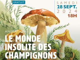 LE MONDE INSOLITE DES CHAMPIGNONS