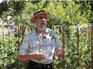 VISITE DU (SUPER) JARDIN DE MAMIE ROSE