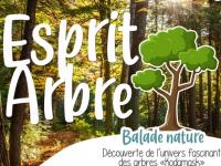 BALADE NATURE : ESPRIT ARBRE…