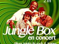 CONCERT JUNGLE BOX