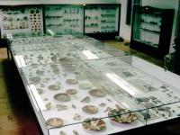 MUSEUM OF ARCHEOLOGY AND PALEONTOLOGY IN MINERVE